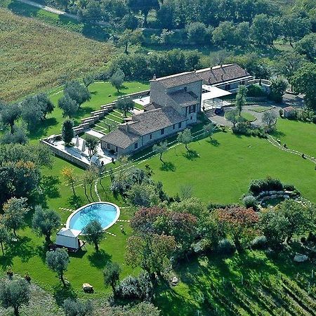 Гостевой дом Fattoria Pianetti Манчиано Экстерьер фото